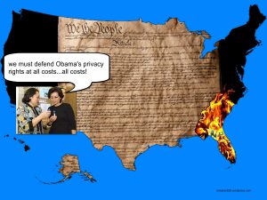 The U.S. Constitution is being burned as the Hawaii DOH continues to hide the truth about Obama