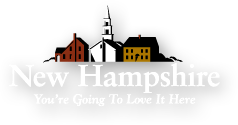 NH Logo