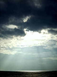 Rays of sunlight