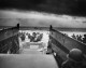 The Obamas Campaign on Anniversary of D-Day (PB)