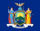 New York Governor Must Prove Gun Law Constitutional