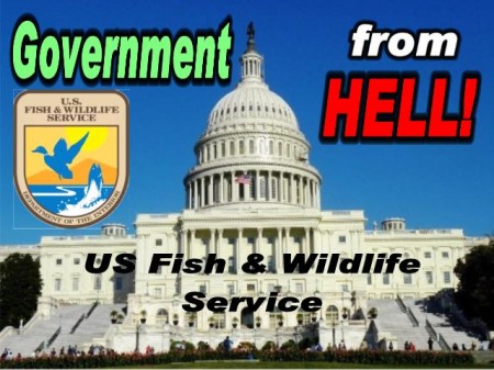 Govt from Hell