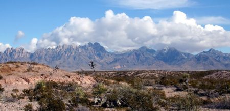 Organ_Mountains