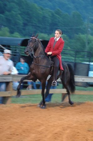 twh-flat-shot-running-walk