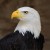 “God Save the United States of America”