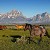Rural America In The Crosshairs!