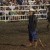 2013 Missouri State Fair