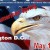 Exclusive Interview with Col. Harry Riley (Ret.) on the “American Spring”