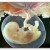 Life Begins at Conception pb