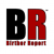 Breaking: BirtherReport.com Restored