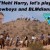 The Cowboys vs. Lyin’ Harry and the BLMdians