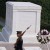 They Died for Us