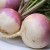 You Can’t Get Blood Out of a Turnip