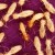 We Are Not a Colony of Termites