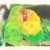 Christmas Cards by Darren Wesley Huff on Sale Now pb
