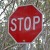 Will the “STOP Resolution” Stop Obama?