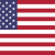The American Party Candidate