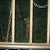 Tennessee Prison Inmate Predicts: “Something is Going to Go Down”