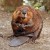 Beaver that Time Forgot (RR)