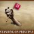 Standing on Principle