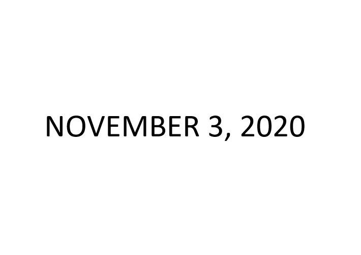 Liberty at Stake on November 3, 2020