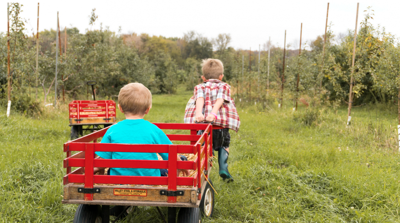 Who’s Pulling the Wagon?