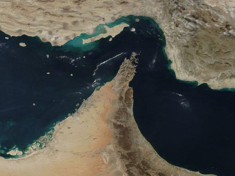 Swine Must Be Swaddled!