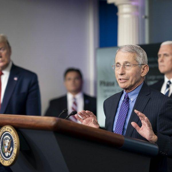 A Public Message to Anthony Fauci