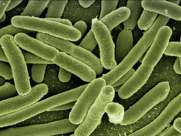 CNN Is Not Defending Science. It Is Defending a Technology From Scientific Scrutiny.