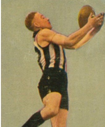 The Mighty Lions, Cazaly and Young Mikko